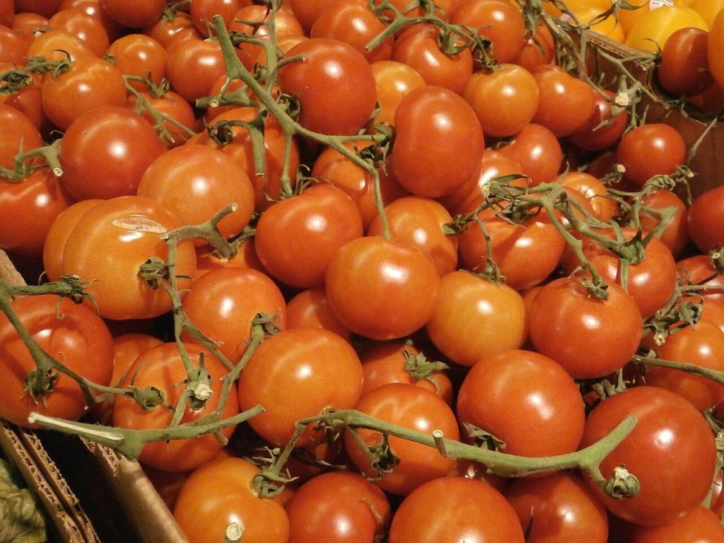 Bolu Diyetisyen ve Beslenme Uzmanı Rehberi – Online Diyetisyen, Zayıflama, Çocuk Diyetisyeni ve Fiyatlar